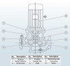 IHG BGLH 80-250 (50/80), 22kW, 2880 - pompe verticale en acier inoxydable