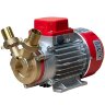 Pompe à anneau liquide MARINA 25-12V