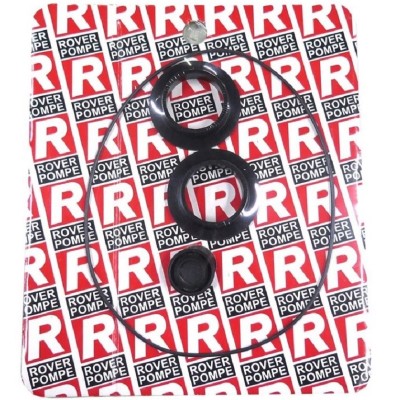 Комплект уплотнений для насоса ROVER POMPE 2015 BE-M/T 40, NOVAX 40 M/T