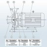 BGWHB 150-315(I)B (173/24), 18,5kW, 1480, Ex - насос нержавеющий горизонтальный