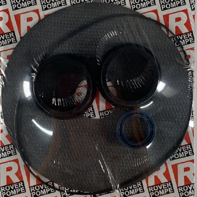 ЗИП комплект уплотнений для насоса ROVER POMPE BE-M/T 50, NOVAX 50 M/T, N-50