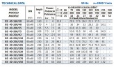 Консольний насос BS 40-315/300, AISI 304, 2900, без двигуна