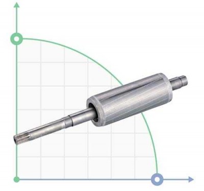 Rotor de moteur électrique pour 7752983 Aquatica (7752983027)