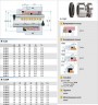 Uszczelnienie pompy R-128P 30, SIC/SIC, VITON, 304, T1A