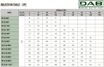 Bomba de circulación DAB CP2 50-600/P/BQQE/0.55 IE2, 60215281