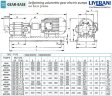 Pompa zębata do transferu oleju LIVERANI GEAR BASE 500-G TF 11 kW, 1400 obr./min, 380 V