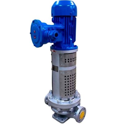 Bomba vertical de aceite térmico LQLRY50-50-210/2-CEX, 12,5 m3/h, 50 m, 5,5 kW, 2900 rpm, Ex