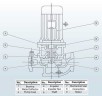 IHG BGLH 50-250(I)B (21,6/60), 11kW, 2880 Stainless Steel Vertical Pump