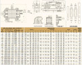 Шестеренчатый насос JKRN 200 2 дюйма, 12 m3/h, SS из нержавеющей стали