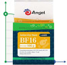 Hefe Angel BF16 für Schweizer Lagerbier, Verpackung - 0,5 kg
