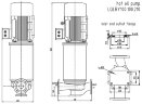 High temperature oil circulation pump LQLRY100-100-210/2-CEX, 100 m3/h, 50 m, 22 kW, 2900 rpm, Ex