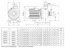 Pompe centrifuge pour l'eau BB250/055D, AISI304, 220V/50Hz, 2900