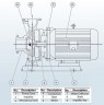 BGW 100-125(I) (80/5), 2,2kW, 1480 насос центробежный горизонтальный