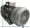 Насос для перекачки подсолнечного масла AlphaDynamic AD40.1/01 2,2kW импеллерный