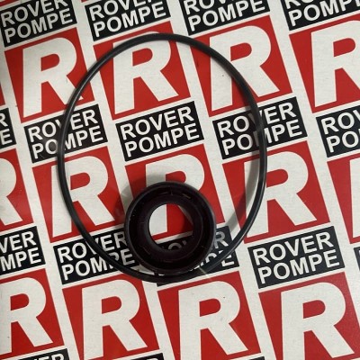 KIT ЗИП комплект резиновых уплотнений к ROVER POMPE BE-G 20, NOVAX G, MARINA G, NOVAX MARINA G