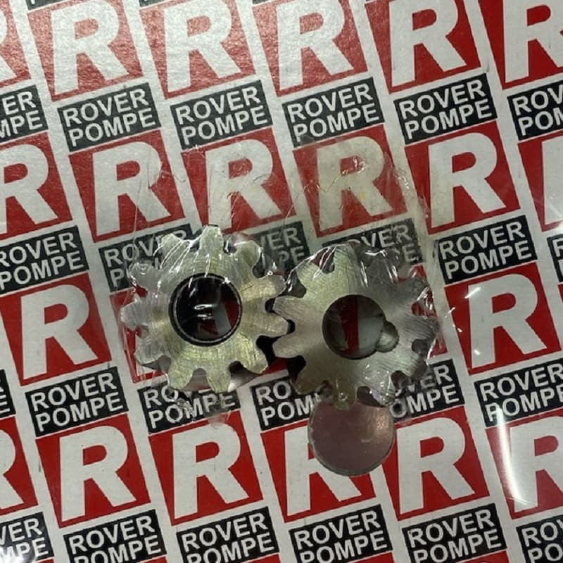 INOX GEARS engranajes de acero inoxidable para bombas ROVER POMPE