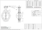 PN16 DN80 Absperrklappe, Gehäuse und Klappenscheibe aus Edelstahl AISI 304, Sitz PTFE