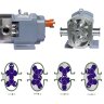 Nockenpumpe zum Fördern viskoser Flüssigkeiten CYB10-3Y, 10 m³/h, 0,4 MPa, 4 kW, 400 U/min, 380 V, 50 Hz, AISI 304, Ex, Klemmverbindung