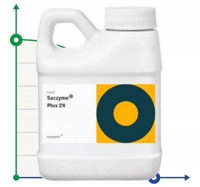 Сахзайм® Плюс 2X (Saczyme® Plus 2X) глюкоамилаза
