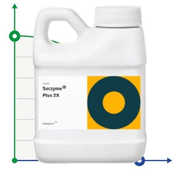 Glucoamylase Saczyme® Plus 2X (Saczyme® Plus 2X)