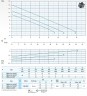 Tauchpumpe Dreno DNA 65-2/110 M/G mit Vortex-Laufrad