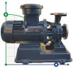 BGWHB 65-315(I) (50/125), 37kW, 2880, Ex Stainless Steel Horizontal Pump
