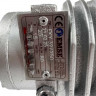 Termiczna pompa oleju EMSE EKY 32-250, 15 kW, 2900, bez silnika