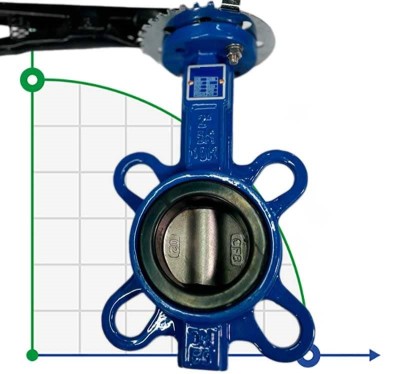 PN16 DN50 Butterfly valve, cast iron body, AISI 304 disc, Seat EPDM