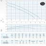 Dreno BIC 32-2/037 M Tauchpumpe mit zweikanaligem Laufrad