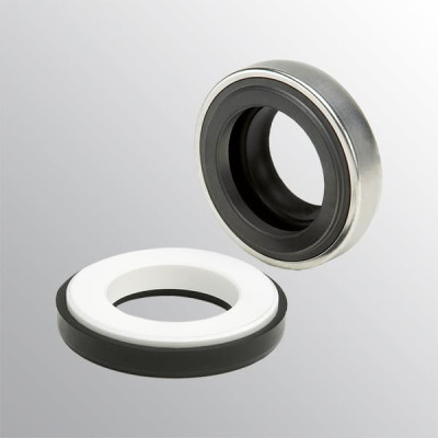 LIDERING AR mechanical seal