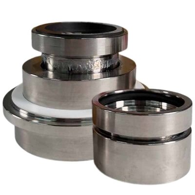 Cartouche d'étanchéité pour pompe Sulzer Ahlstar APP1 R-SE1F-AP 30, SIC/SIC, VITON, 316