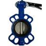 PN16 DN80 Задвижка Баттерфляй, чугунный корпус, диск AISI 304, Seat EPDM