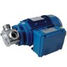 Pompe à impulseur pour de sirops LIVERANI EP MIDEX 1"1/4 NR TF/I 0,56kW, 900tr/min, 380V avec inverseur