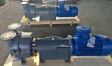 Вакуумный насос 2BV6161 Ex (AISI 316), длинная база