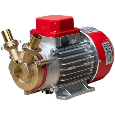 Pompe à anneau liquide MARINA 20-12V