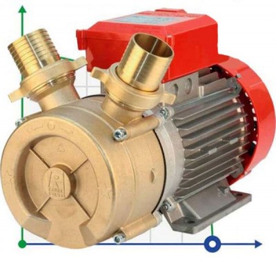 Pompe à anneau liquide BE-T 50 pour vinaigre