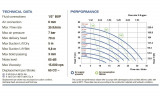 Пневматический мембранный насос PHOENIX P30 AISI316 HYTREL+PTFE, 35 л/мин для коагулянта