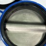 PN16 DN200 Absperrklappe, Gehäuse aus Grauguss, Scheibe AISI 304, Sitz EPDM