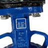 PN16 DN200 Absperrklappe, Gehäuse aus Grauguss, Scheibe AISI 304, Sitz EPDM