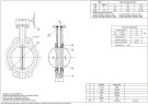 PN16 DN250 Задвижка Баттерфляй, чугунный корпус, диск AISI 304, Seat EPDM