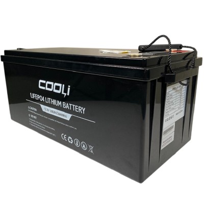 Batterie pour alimentation de secours CL-12.8V 300Ah, LiFePO4, LFP ABS Coque sur pied avec Bluetooth et écran