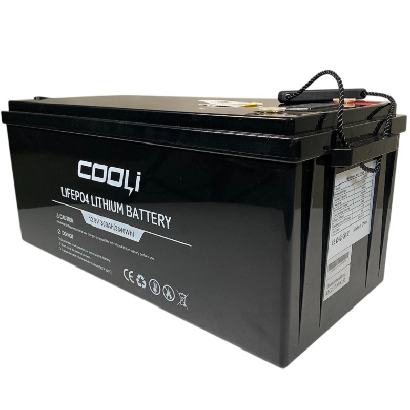 Аккумуляторная батарея CL-12,8V 300Ah, LiFePO4, LFP ABS Shell напольный с Bluetooth и дисплеем