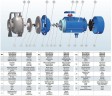 BZ 50-200/11 центробежный моноблочный насос из нержавеющей стали для жидких удобрений