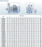 Monoblock pump for non-aggressive liquids BST 100-315/110, 3000