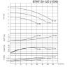 BTKF 50-125 Cantilever Single Stage Pump (1500)