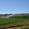 Оросительная (ирригационная) машина Irriforce Comfort TD3000-400
