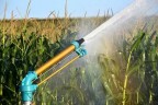 Sprinkler für Bewässerung Jet55 BSP