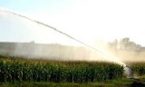 Sprinkler für Bewässerung Jet55 BSP