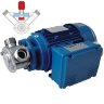 Pompe à impulseur pour de liquides délicats LIVERANI EP MIDEX 1"1/4 +BY-PASS NR MF/I 0,75kW, 1400tr/min, 220V avec inverseur