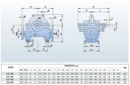 BSC4 125-290A/B, (1500) pompa z podwójnym wejściem